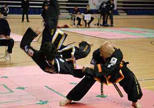 Hapkido